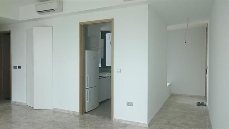 Skyline Residences (D4), Condominium #165203442